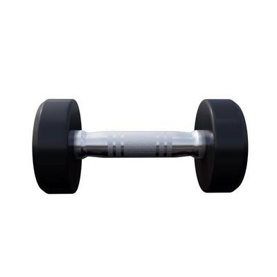 Dumbbell - 2,5 kg - halter - vaste dumbell - gietijzer