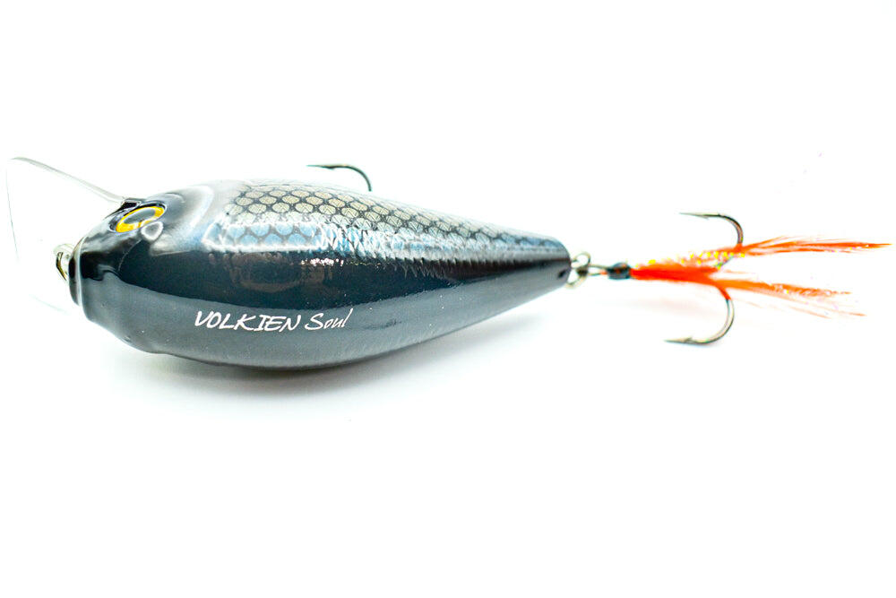 Fat Vs Sub - Roach 2 3/5