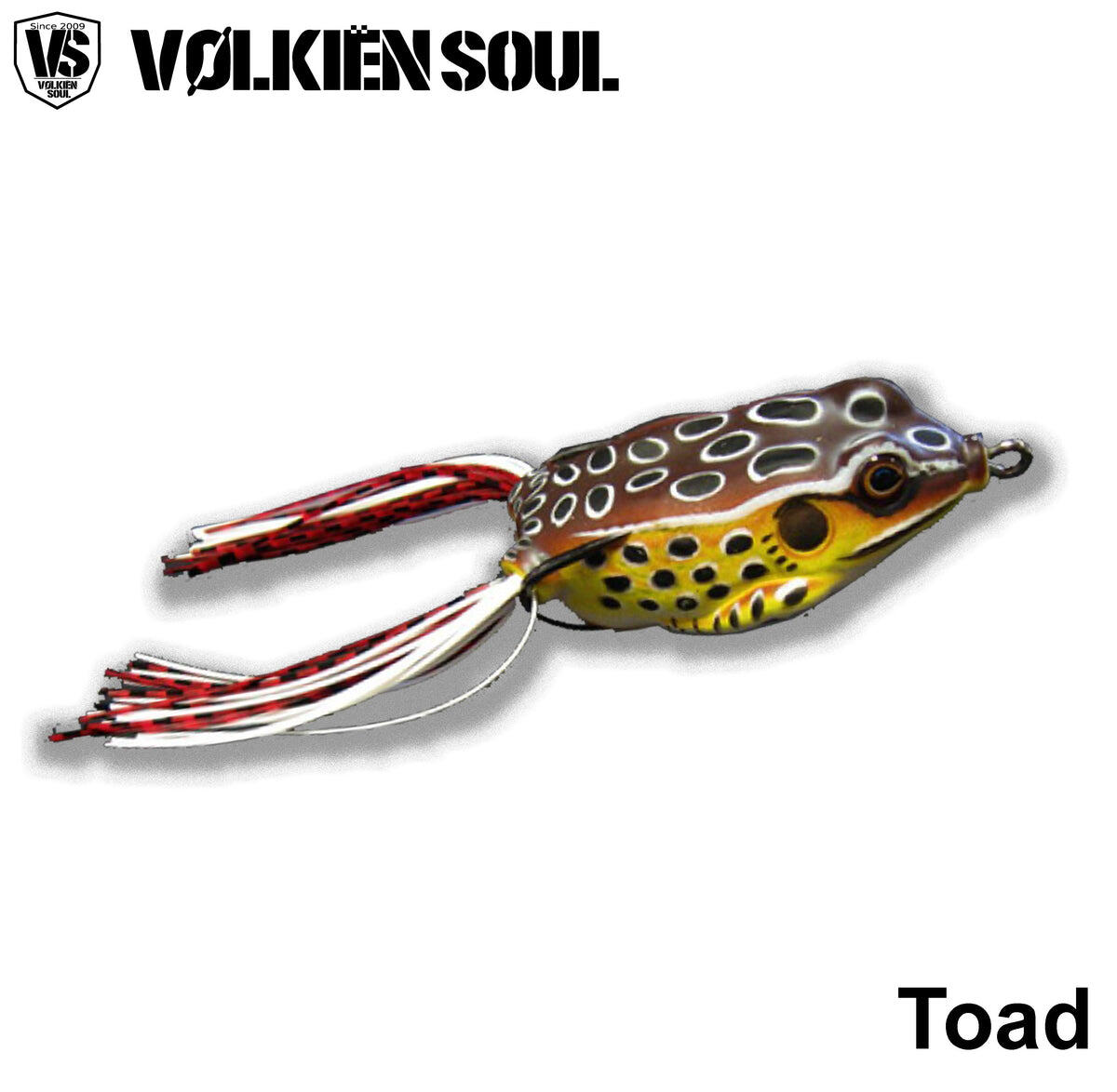 VOLKIEN SOUL picture