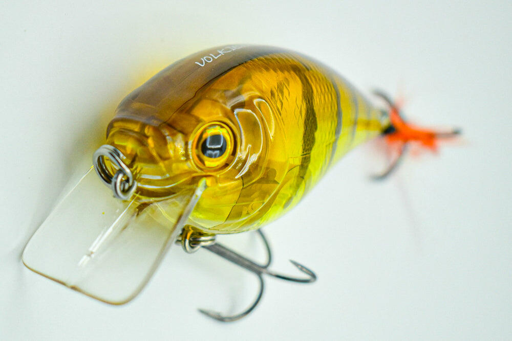 Fat Vs Sub - Ghost Perch 4/4