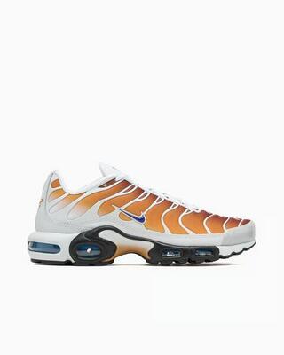 Nike x One Block Down Air Max Plus SP FZ3308 700 WHITE
