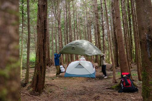Tente de randonnée MSR Hubba Hubba HD 3 personnes - Vert 4/6