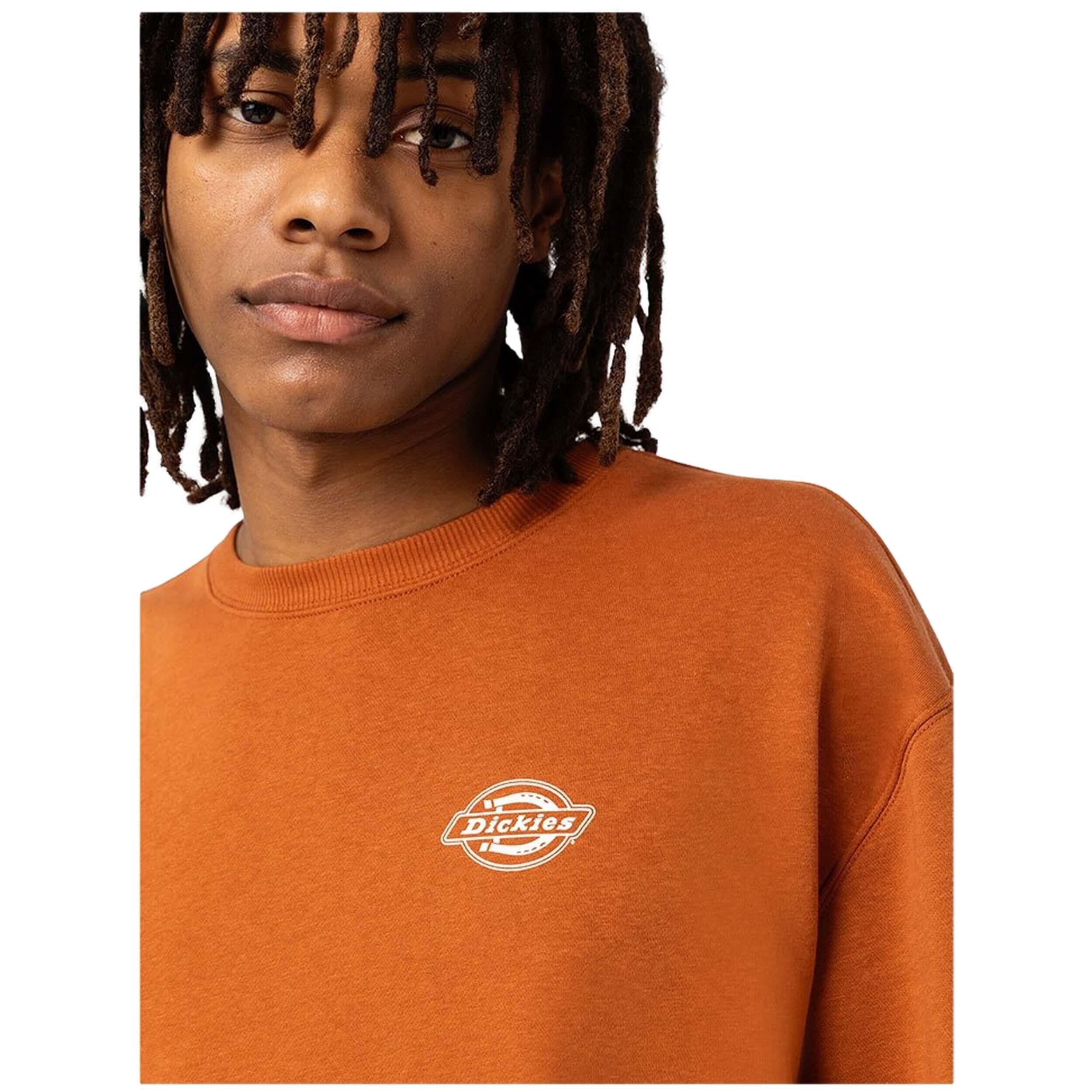 Sweatshirts polaires pour hommes Dickies Holtville Orange 3/3
