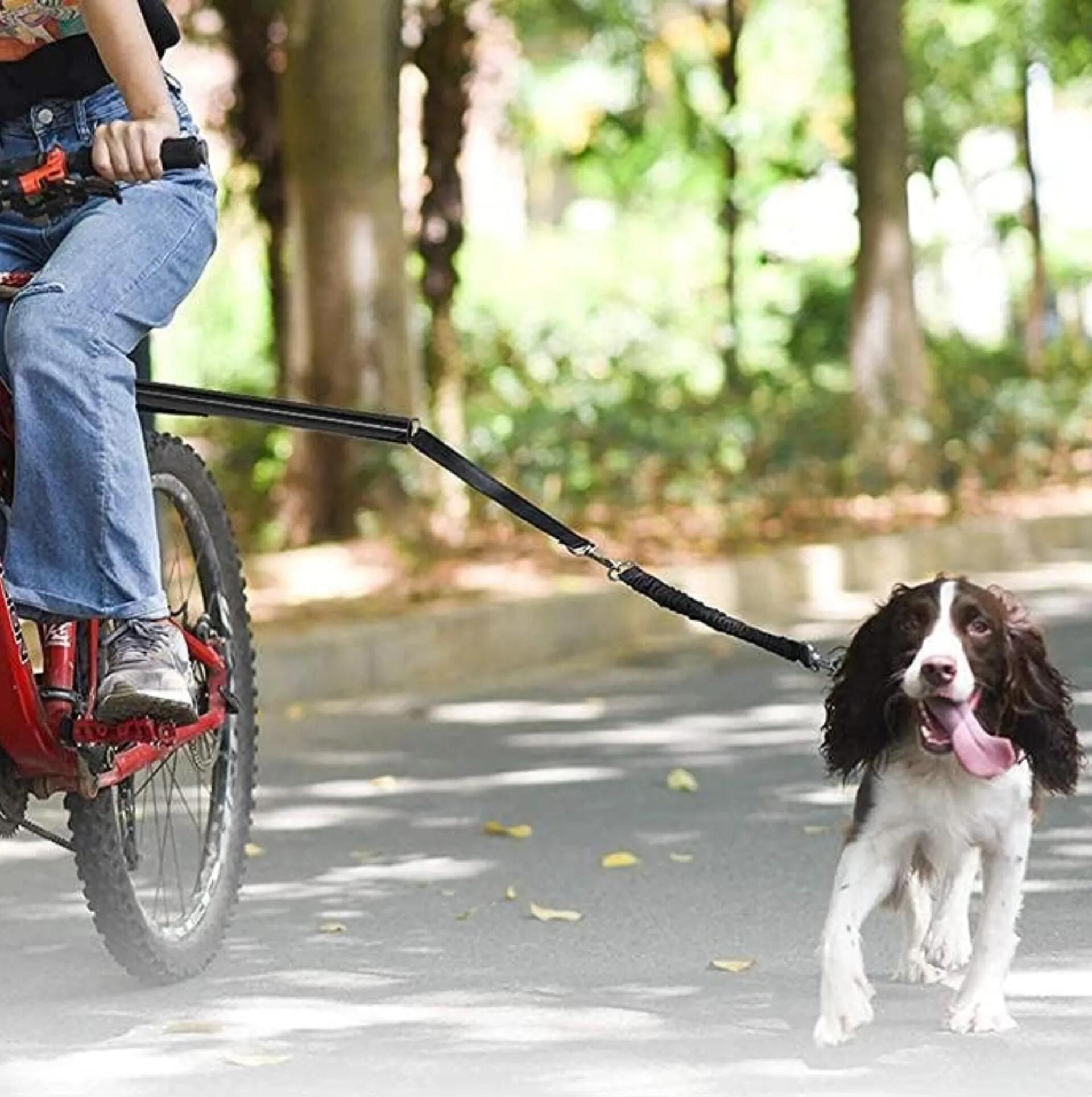 Guinzaglio bici per cane con fissaggio al reggisella e barra in acciaio 3/4