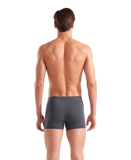 Pánské plavky arena Performance POSEIDONIA SWIM SHORT 2/5
