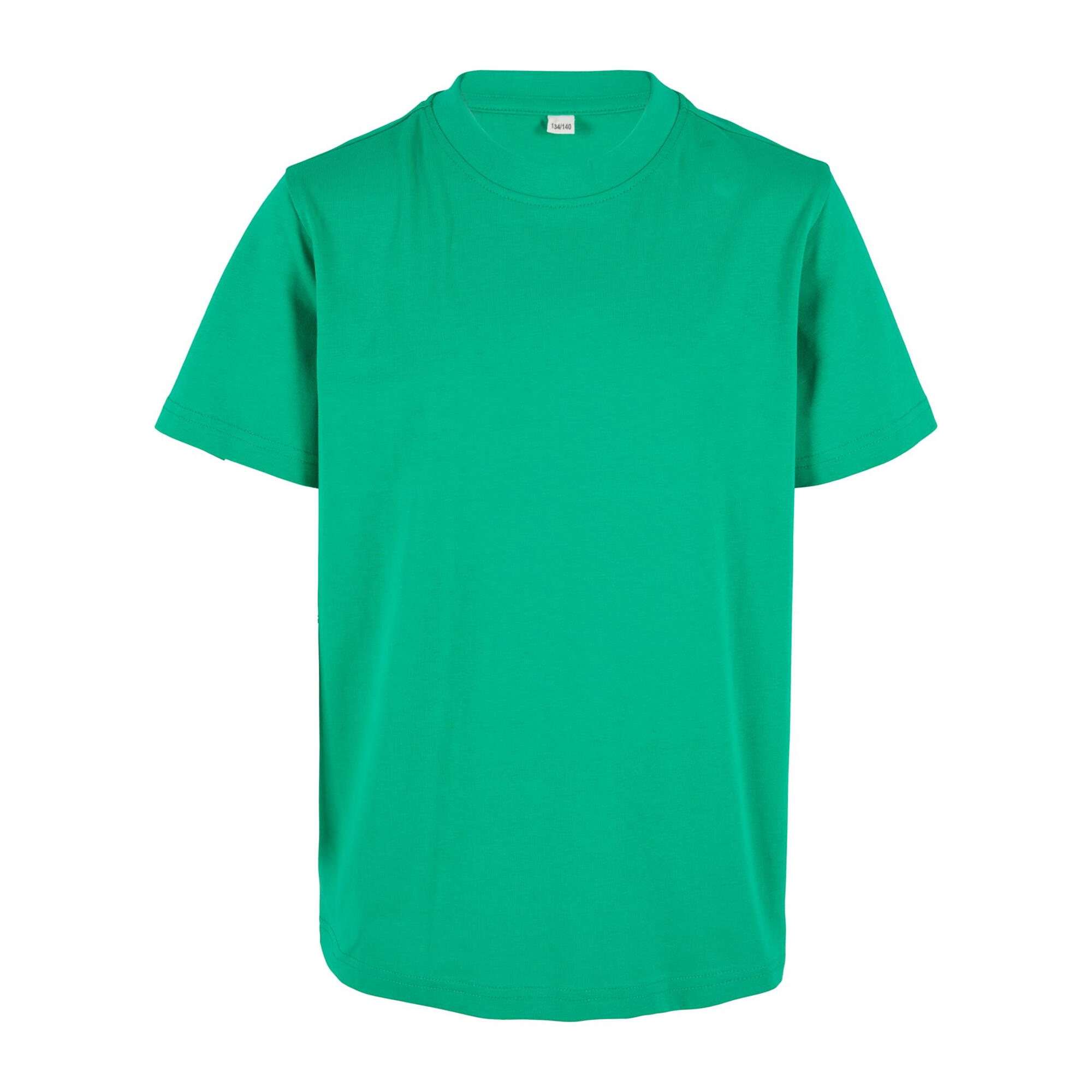 Build Your Brand Childrens/Kids Basic Organic T-Shirt