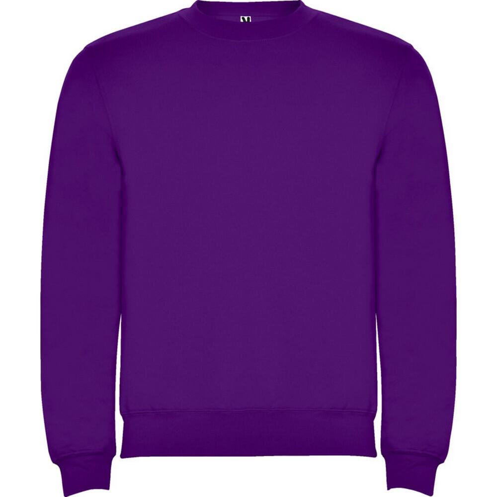 Roly Unisex Adult Clasica Crew Neck Sweatshirt