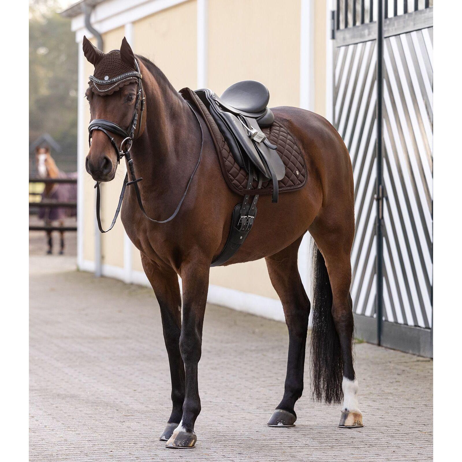 Bonnet pour cheval court nepal Waldhausen 2/3
