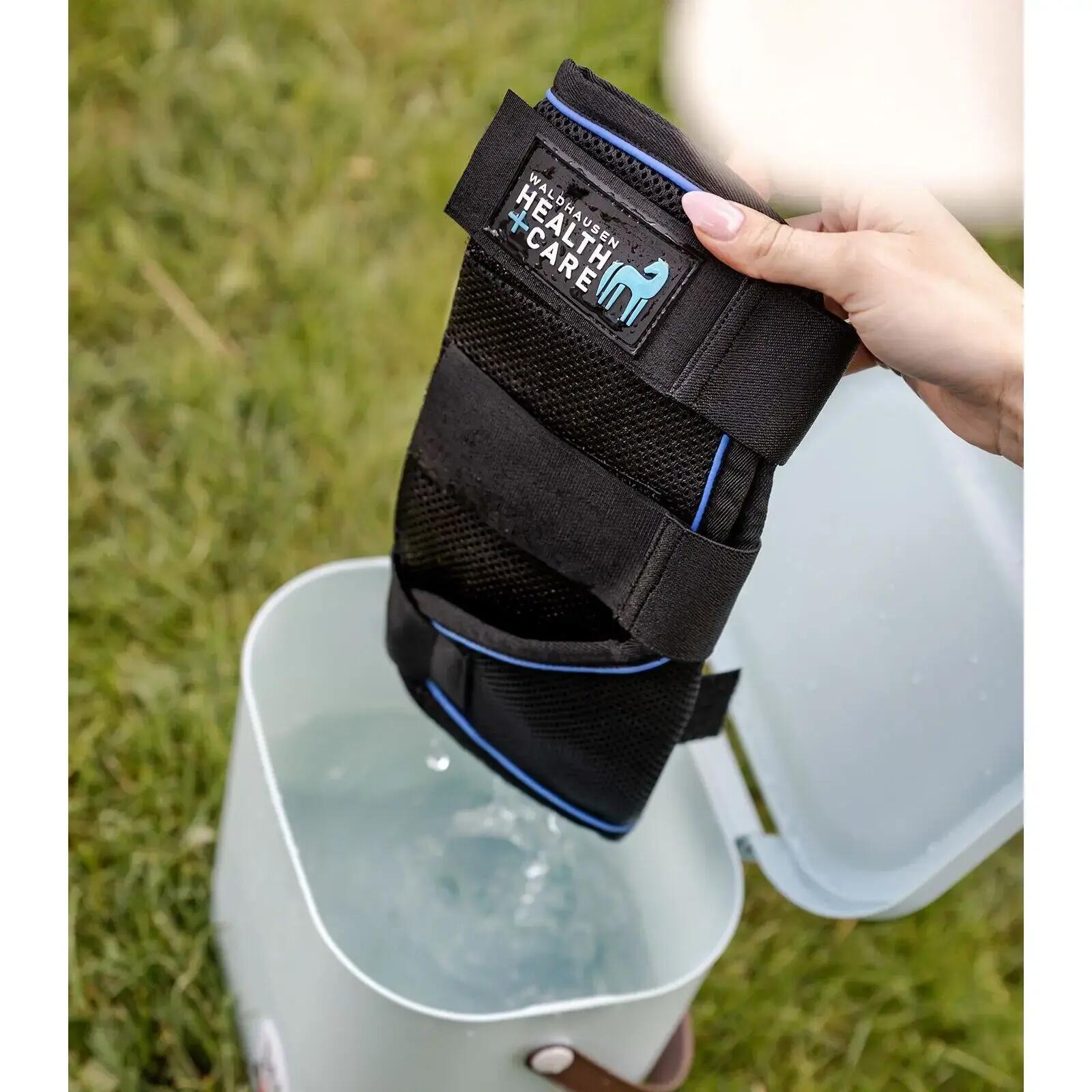 Horse gaiters Waldhausen Health + Care Ice Layer (x2) 3/7