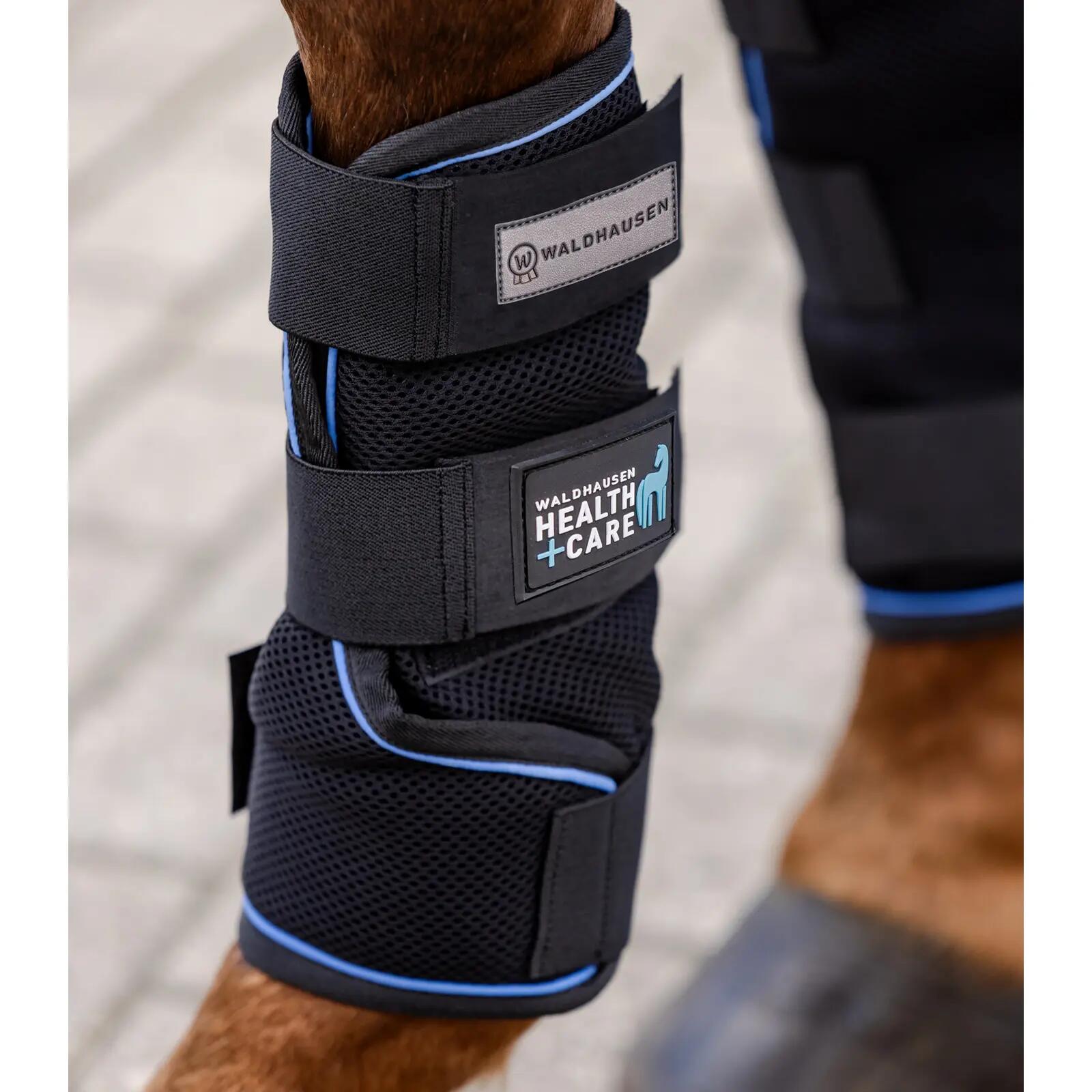 Horse gaiters Waldhausen Health + Care Ice Layer (x2) 1/7