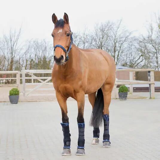 Guêtres d'écurie antérieures pour cheval Horze Pro 2/5
