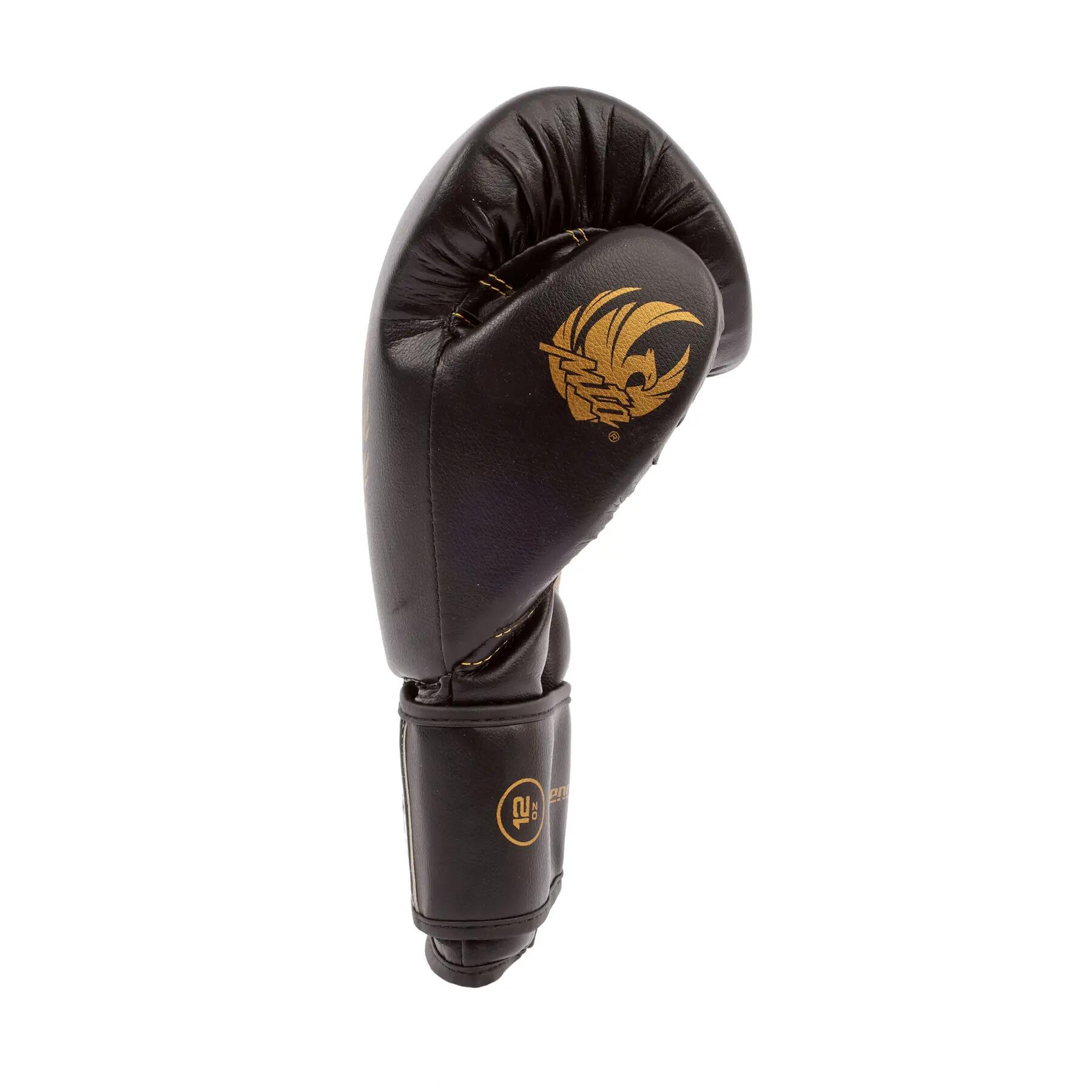 Gants de boxe Montana X-Perience 3/5