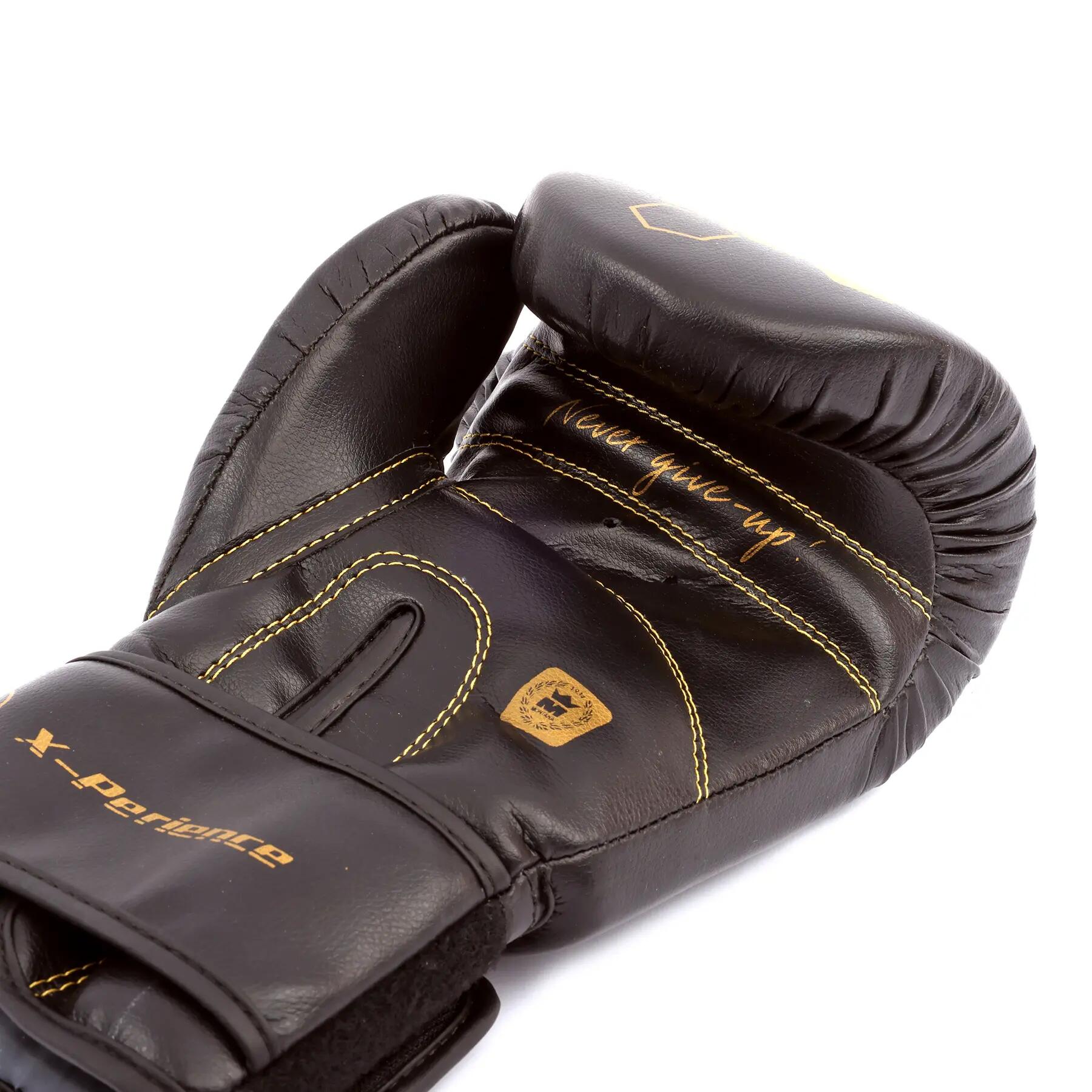 Gants de boxe Montana X-Perience 2/5