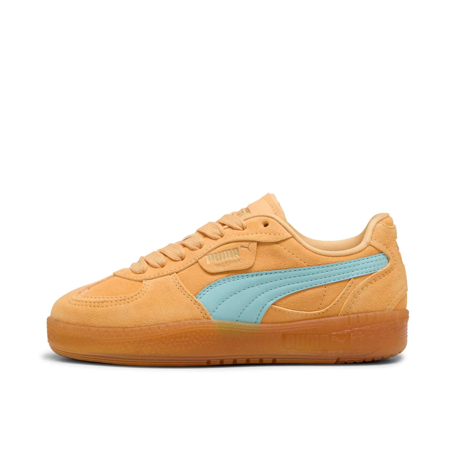 PUMA picture