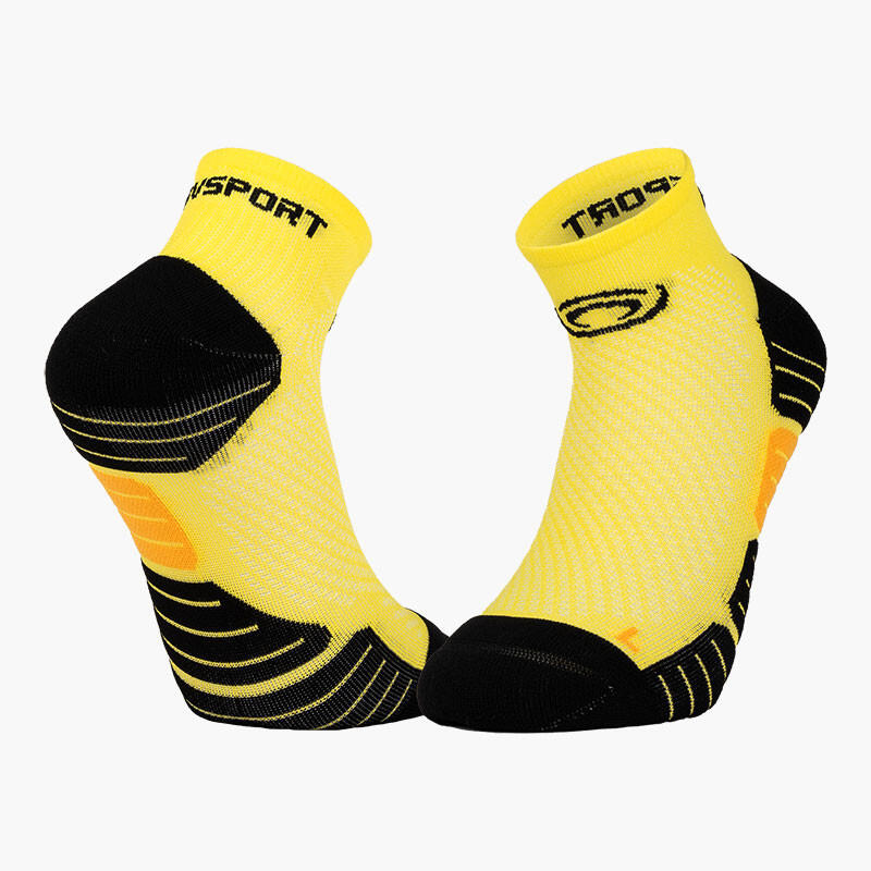 BV SPORT picture