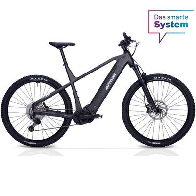 29" herren e-mtb streamer cx12bosch performance line cx gen 5 smart system