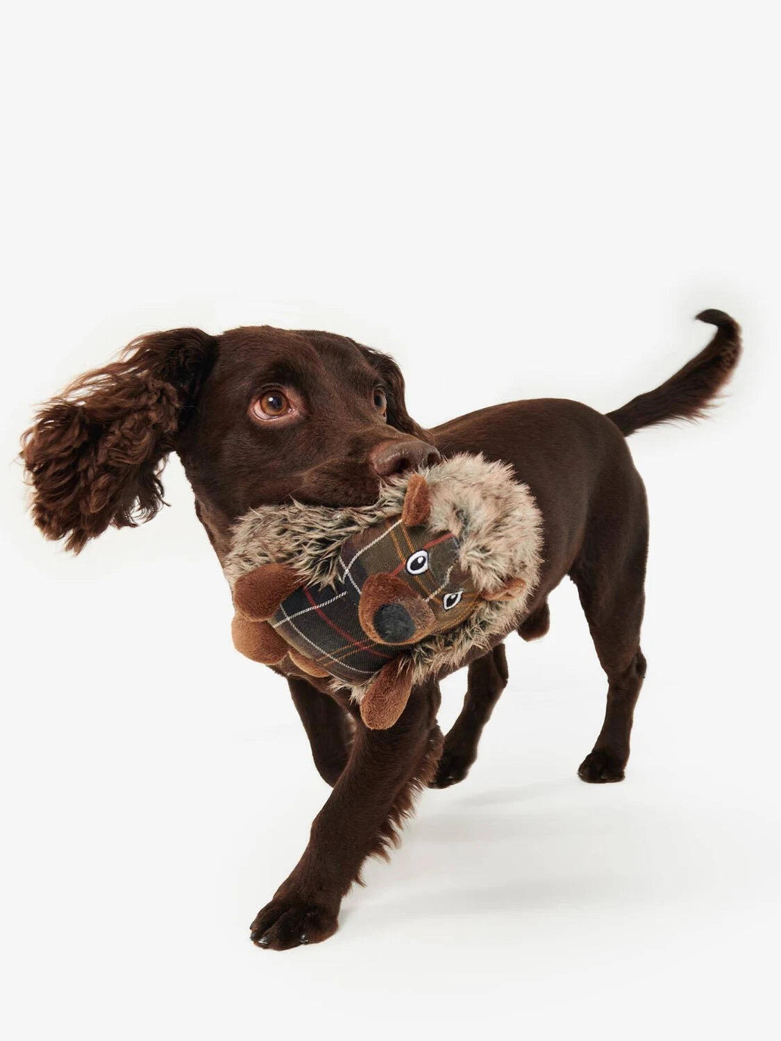 BARBOUR picture