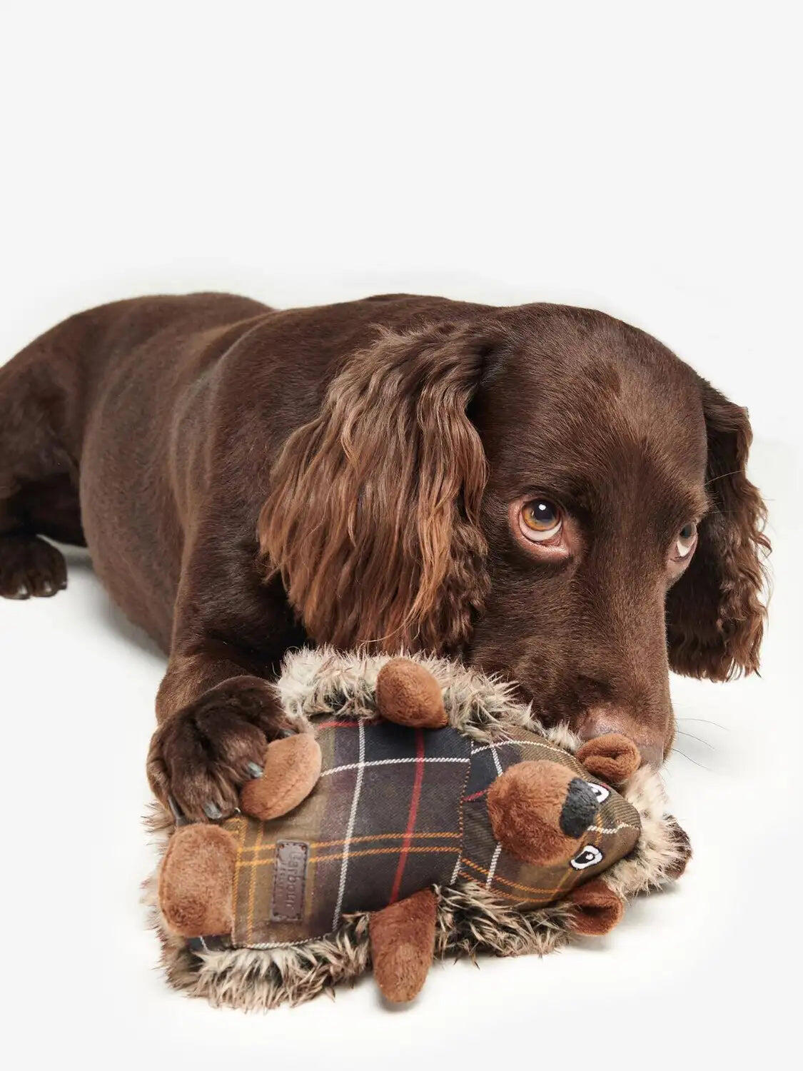 Jouet Barbour pour chien 3/5