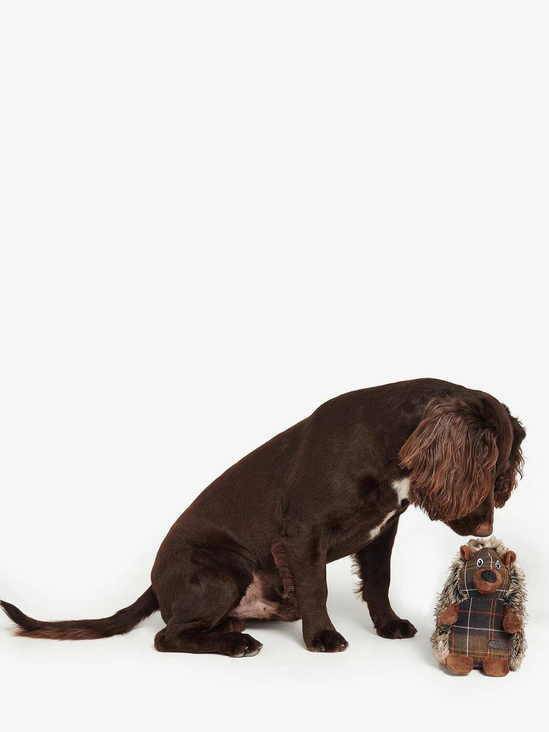 Jouet Barbour pour chien 2/5