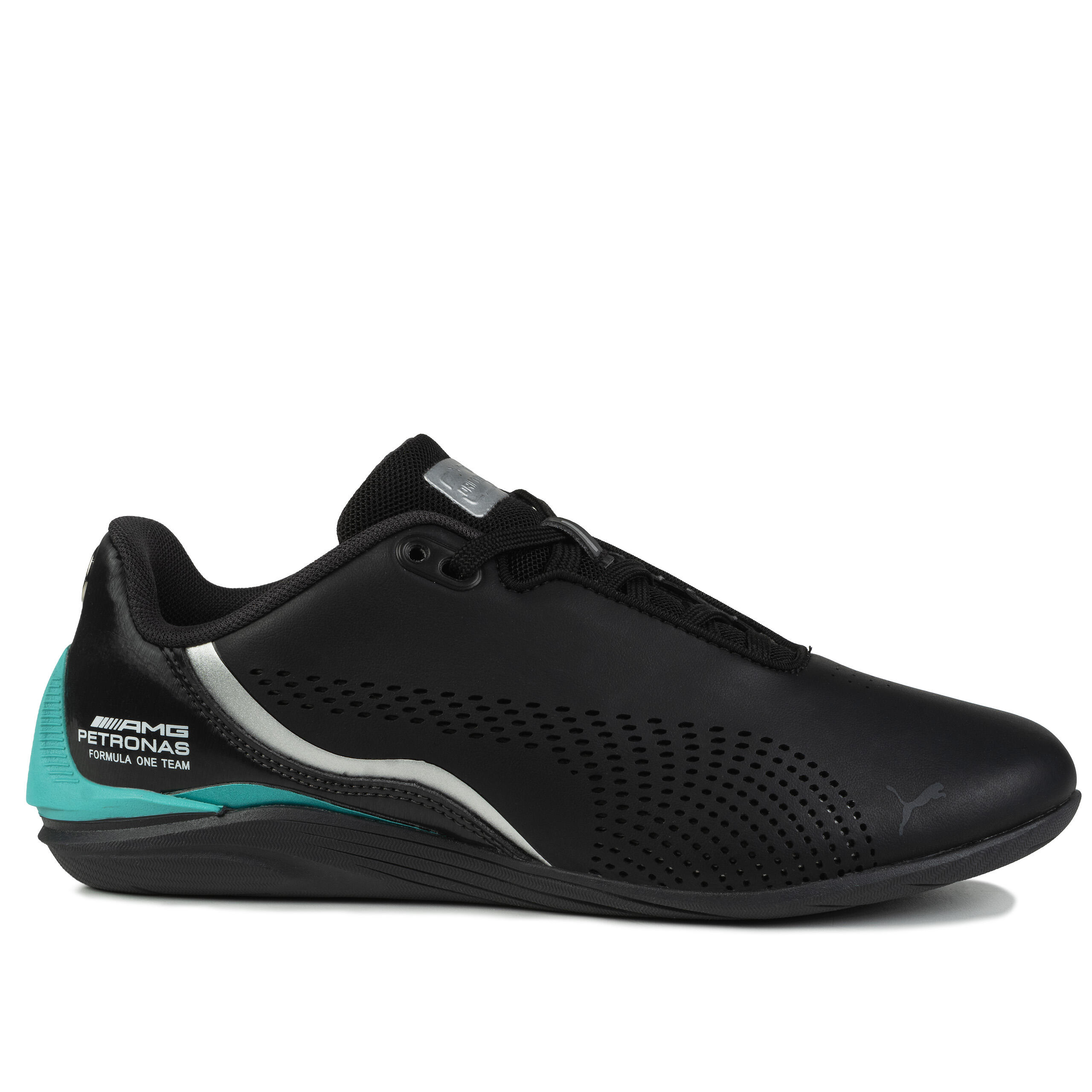 PUMA picture