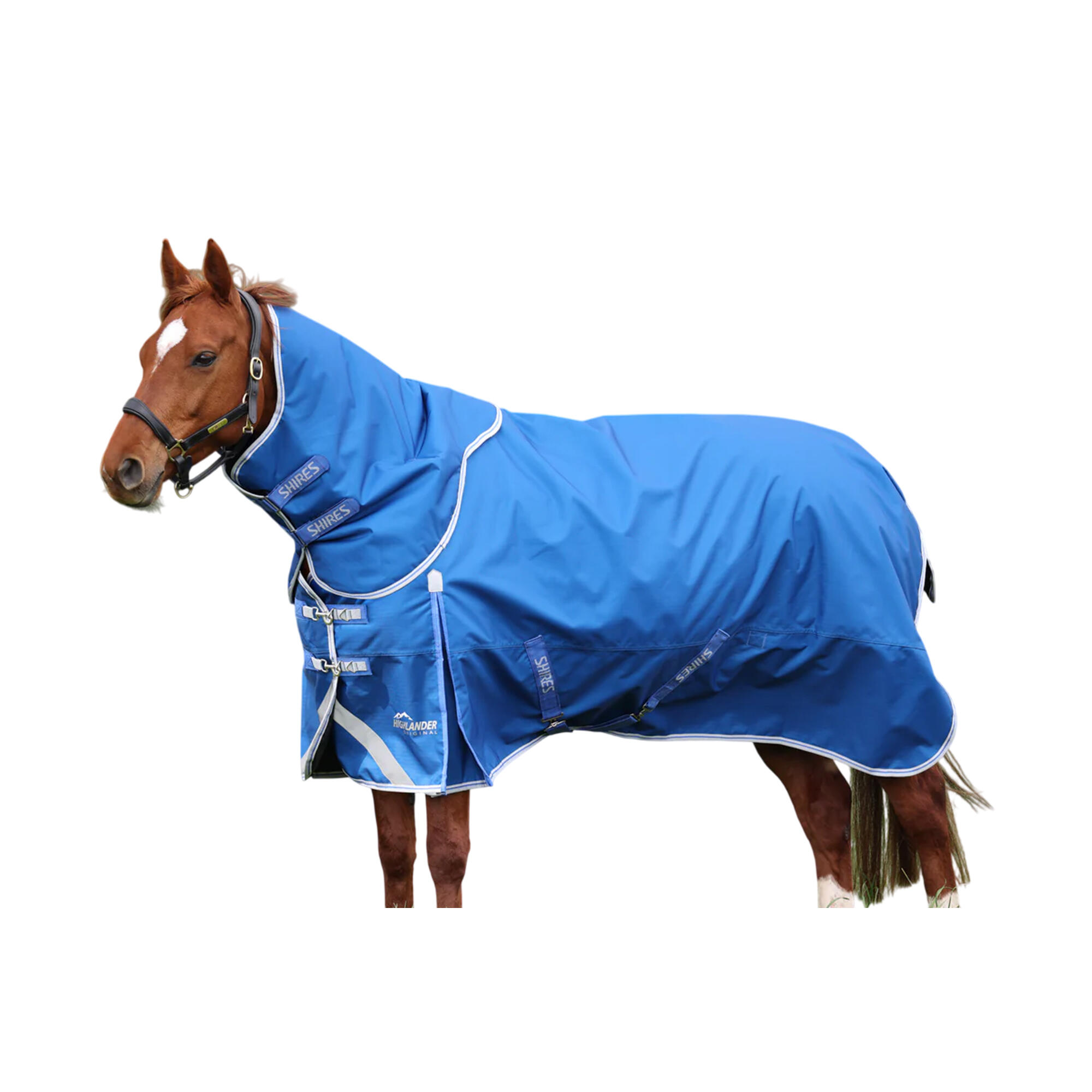 SHIRES picture