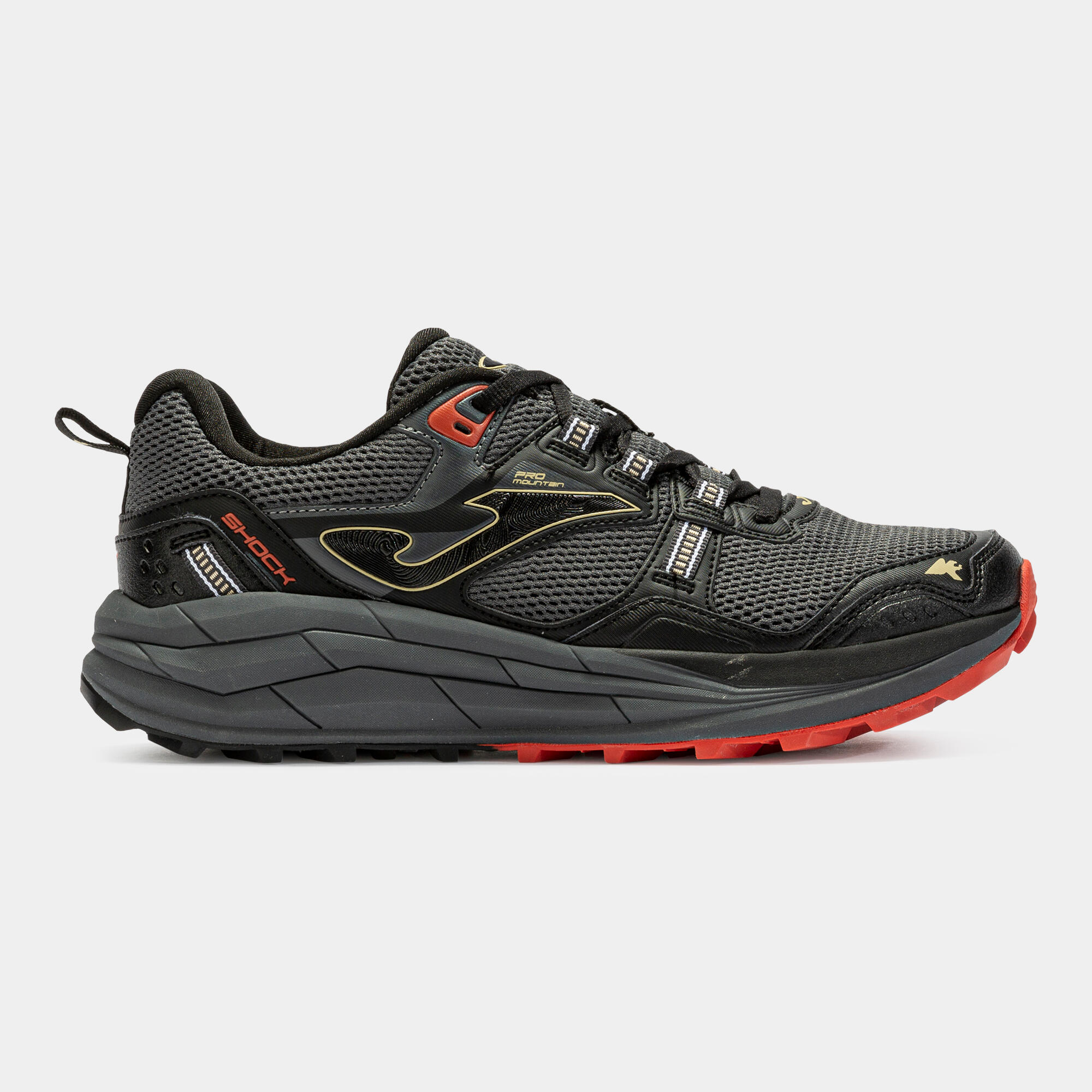 JOMA picture