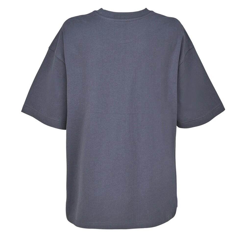 Womens/Ladies Boxy Oversized TShirt (Mouse Grey) 2/4