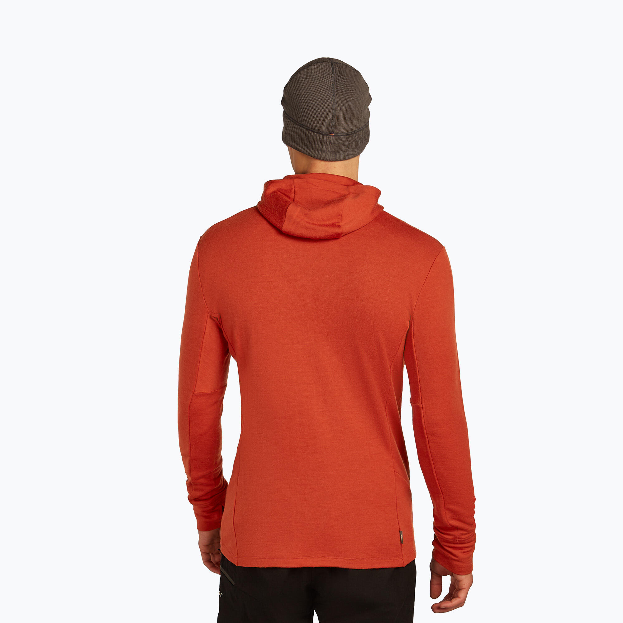 Casaco masculino icebreaker Merino 260 Quantum IV Zip Hoodie 3/7