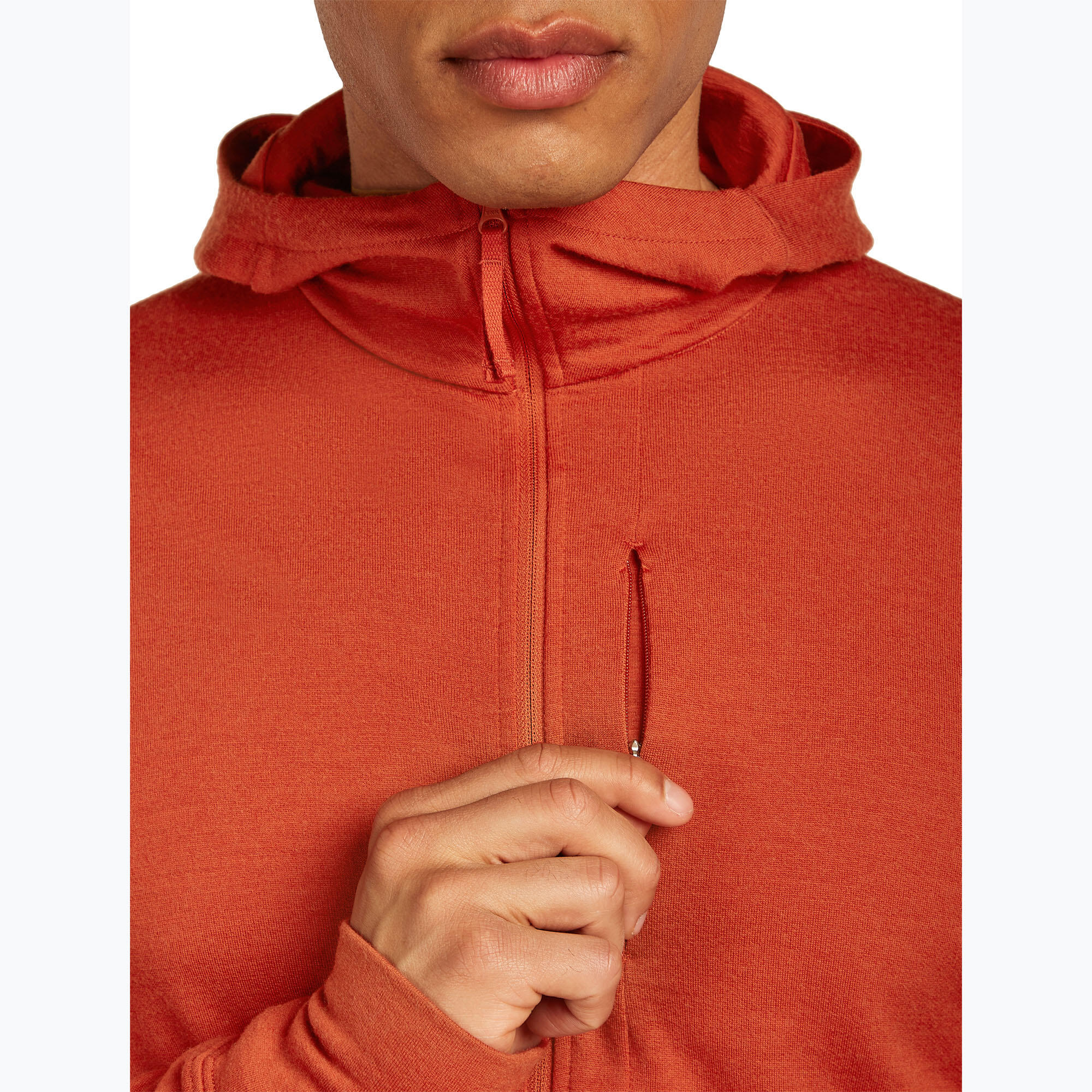 Casaco masculino icebreaker Merino 260 Quantum IV Zip Hoodie 7/7