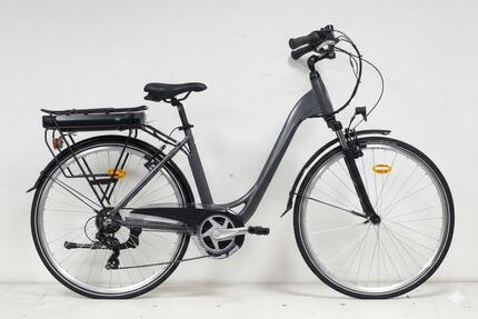 Denver E8000 MM Mittelmotor-Citybike