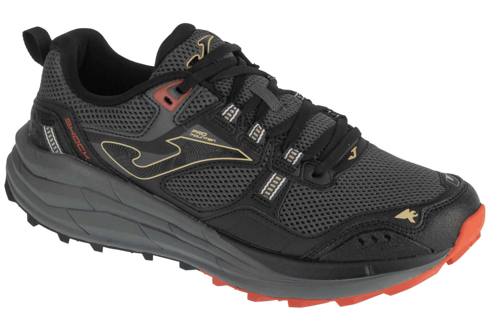 JOMA picture