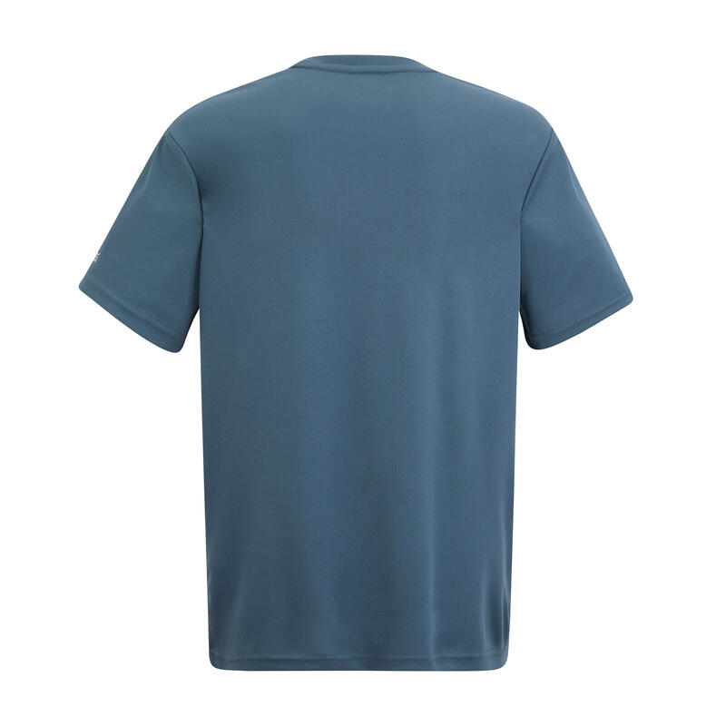 Tricou Drumeții În Natură Regatta Fingal Illustration Bărbați