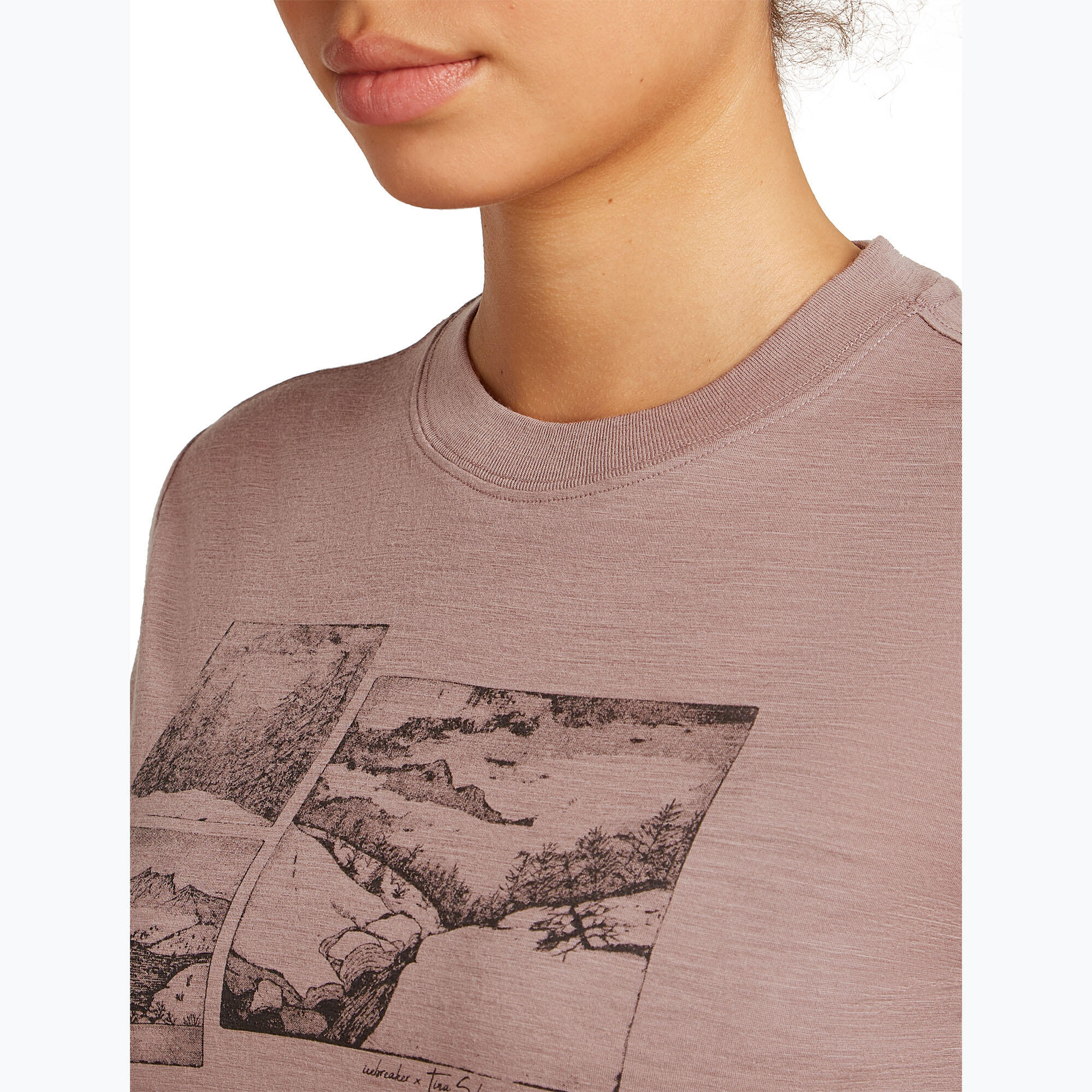 T-shirt femme icebreaker Merino 150 Tech Lite Crop The Climb 6/7