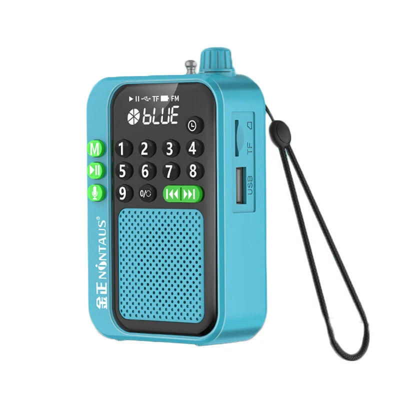 Mini Portable FM Radio Rechargeable Blue