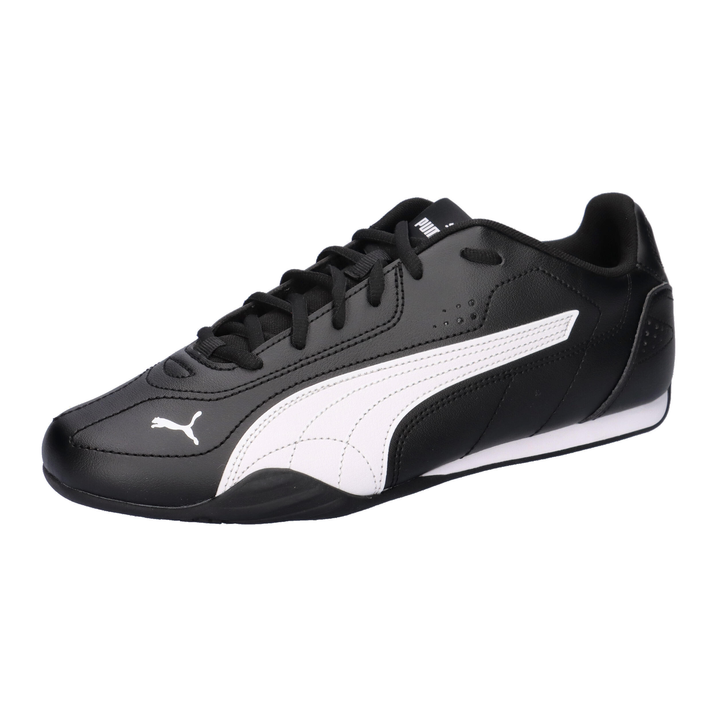 PUMA picture