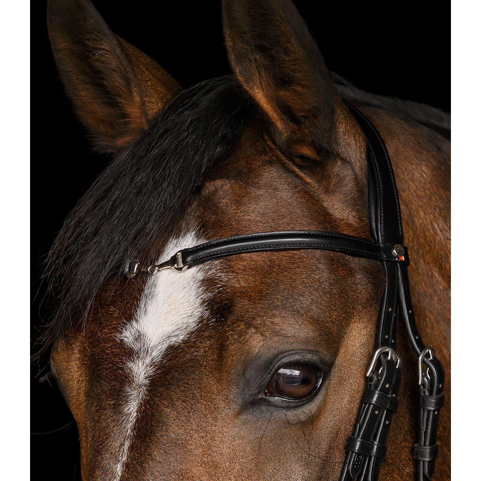 Cabezada para caballos Waldhausen X-Line Charmbit 5/5