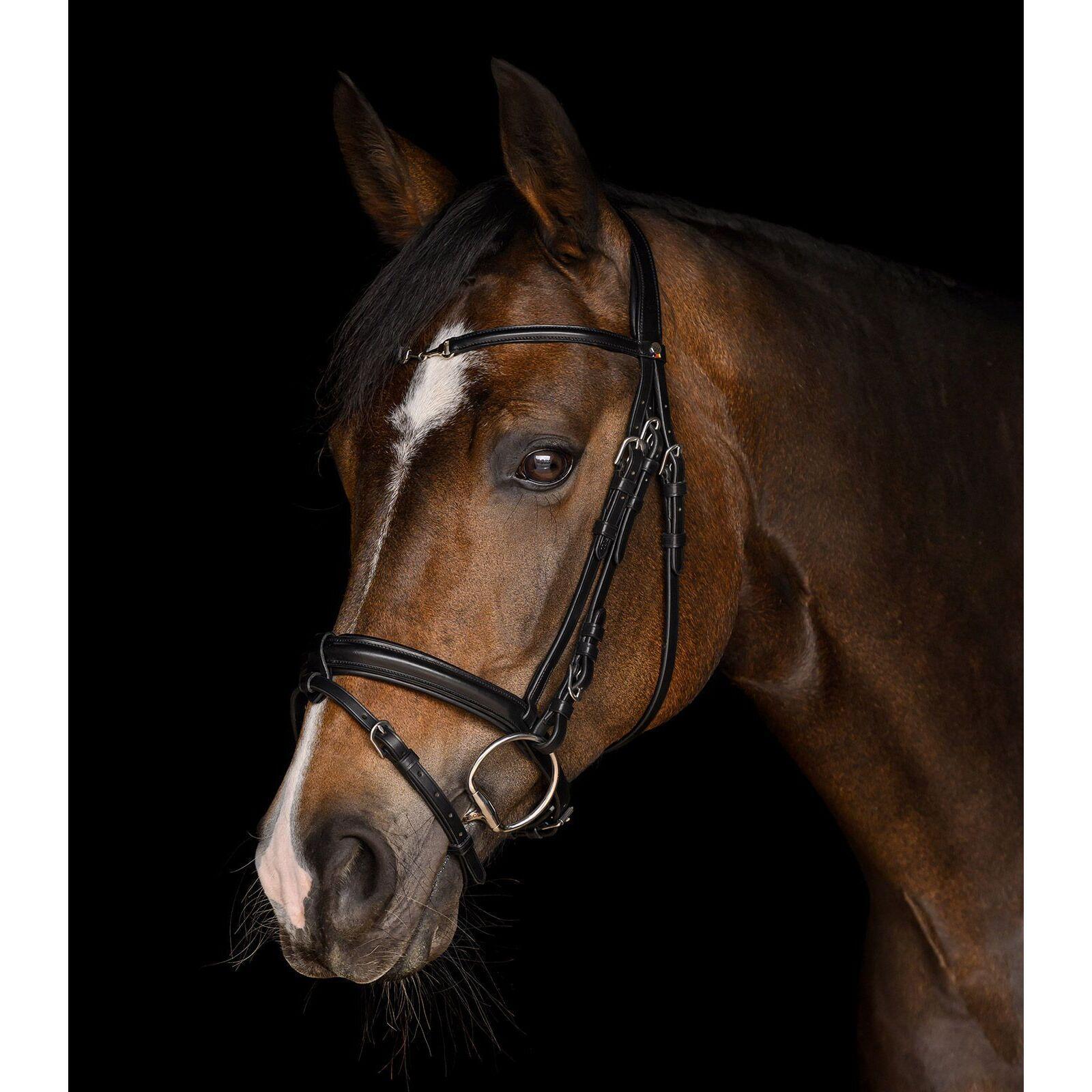 Cabezada para caballos Waldhausen X-Line Charmbit 4/5