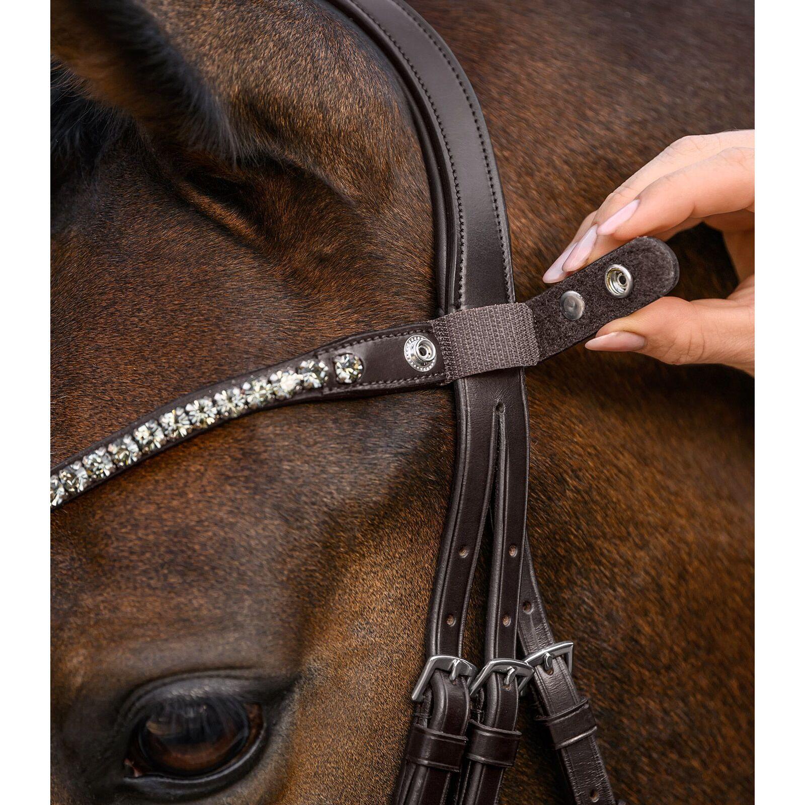 Frontaal voor paard Waldhausen X-Line Shine 3/4