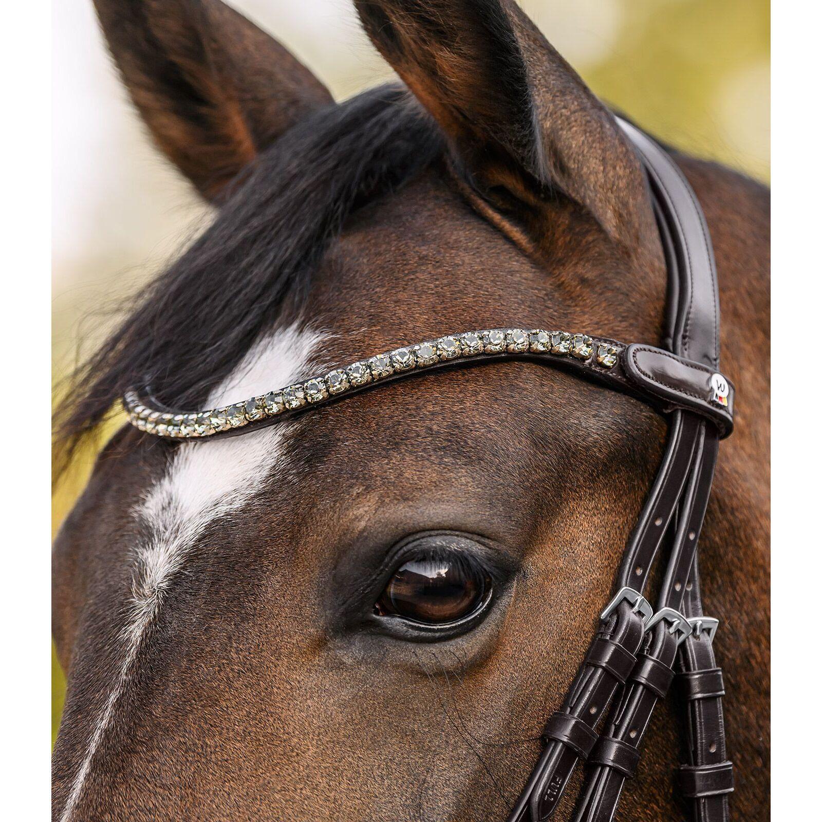 Frontaal voor paard Waldhausen X-Line Shine 2/4