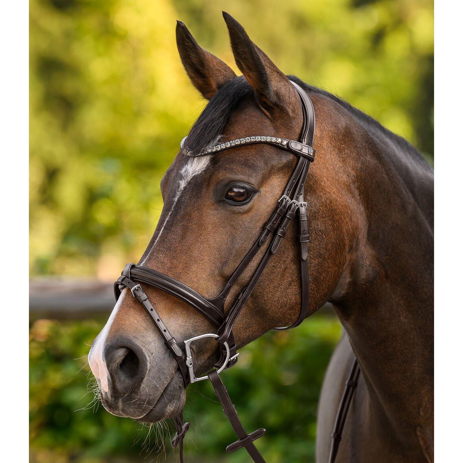 Frontaal voor paard Waldhausen X-Line Shine 4/4