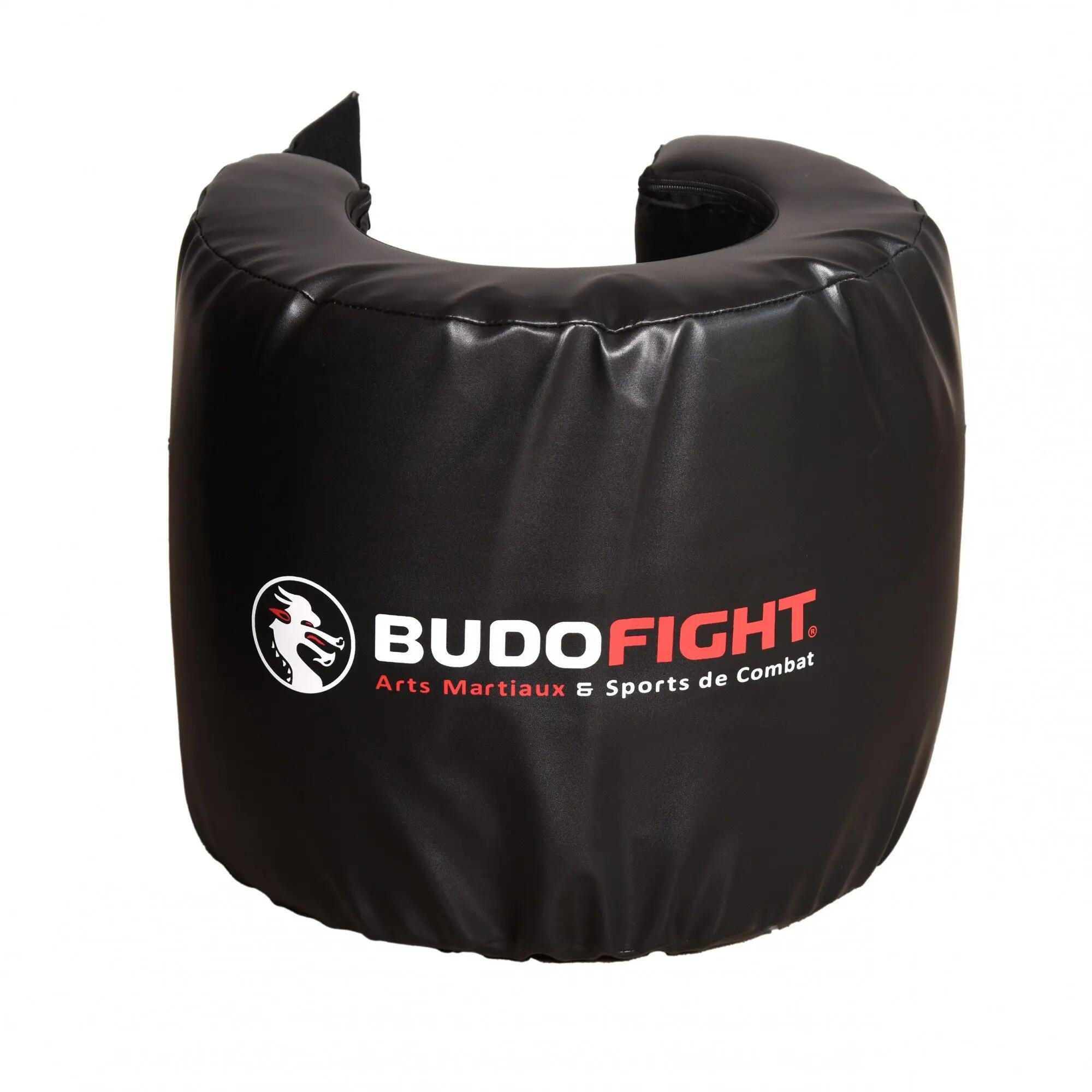 BUDO-FIGHT picture