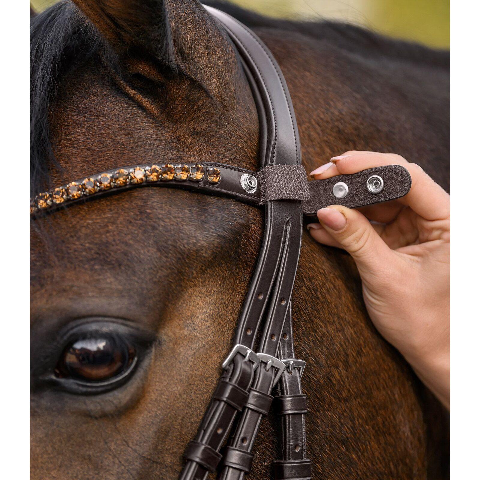 Frontaal voor paard Waldhausen X-Line Shine 3/4