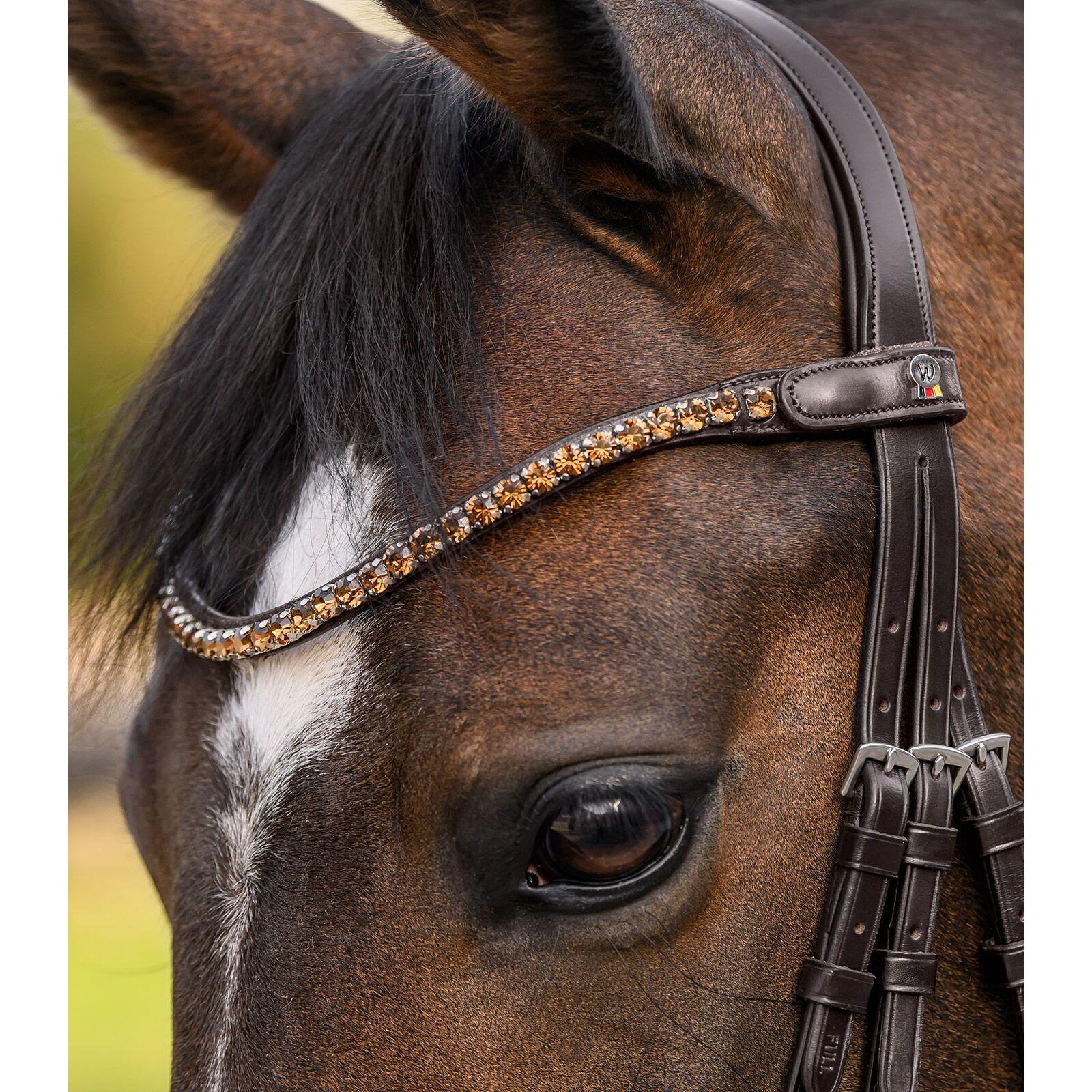 Frontaal voor paard Waldhausen X-Line Shine 2/4