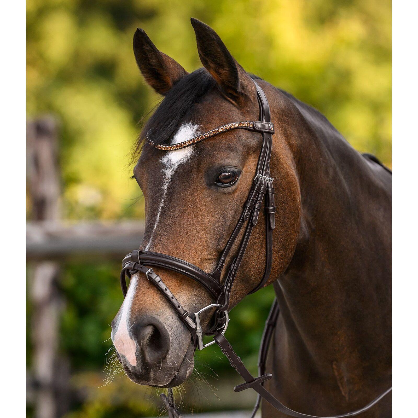 Frontaal voor paard Waldhausen X-Line Shine 4/4