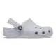 CROCS picture