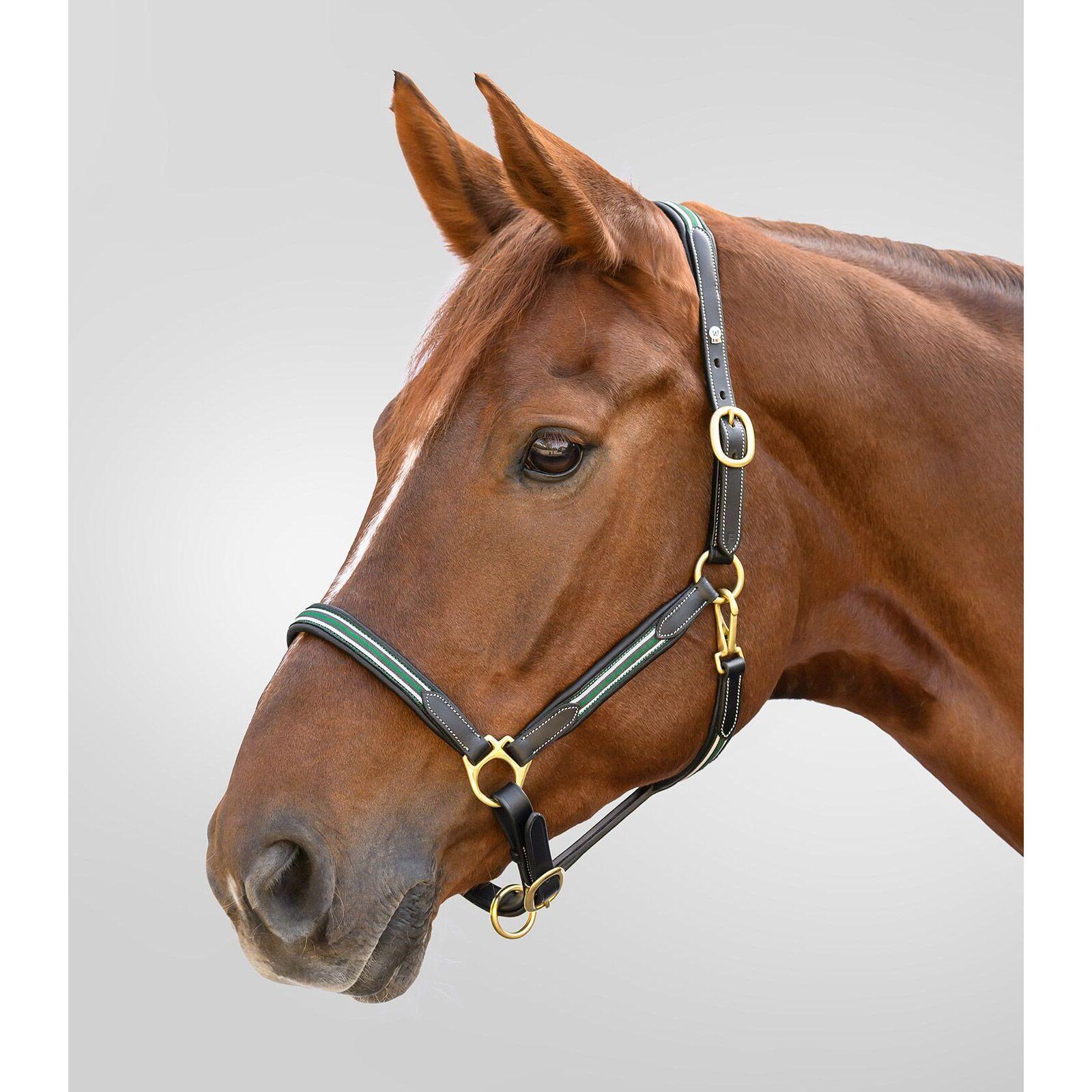 Cabestro de cuero para caballos Waldhausen X-Line Oxford 3/4