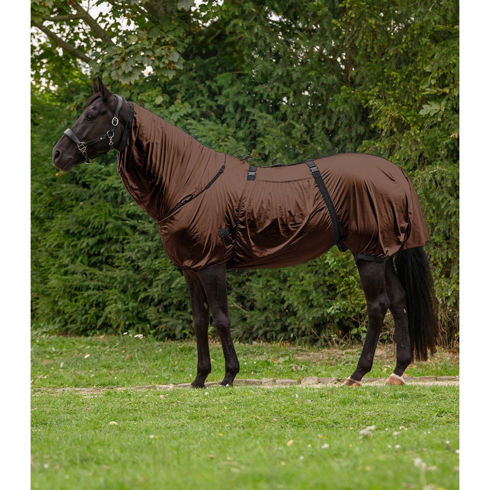 Insecten/zomer paardendeken Waldhausen Basic 2/2