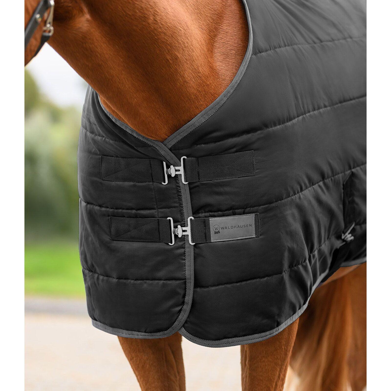 Paardendeken Waldhausen Economic 100g 3/5