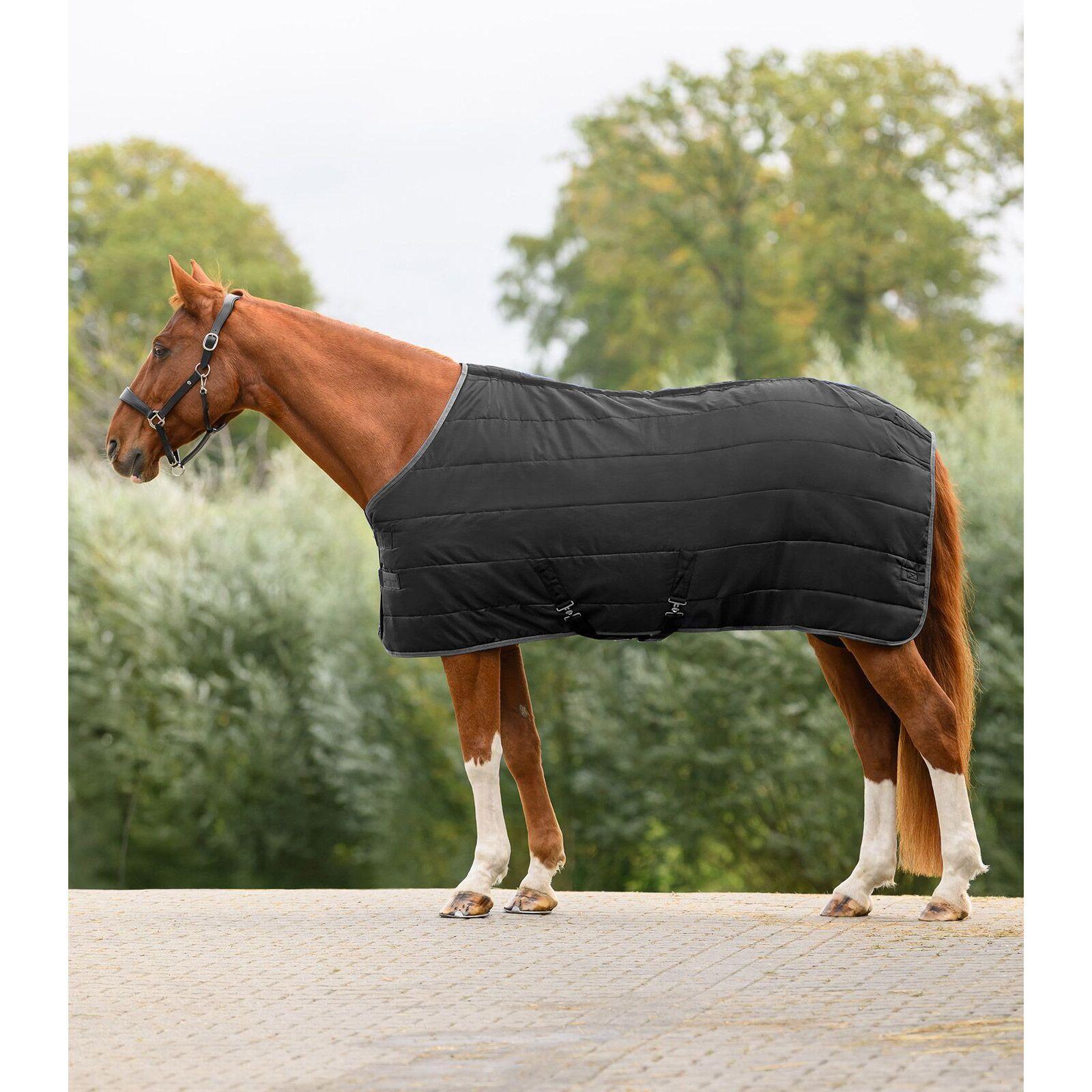 Paardendeken Waldhausen Economic 100g 2/5