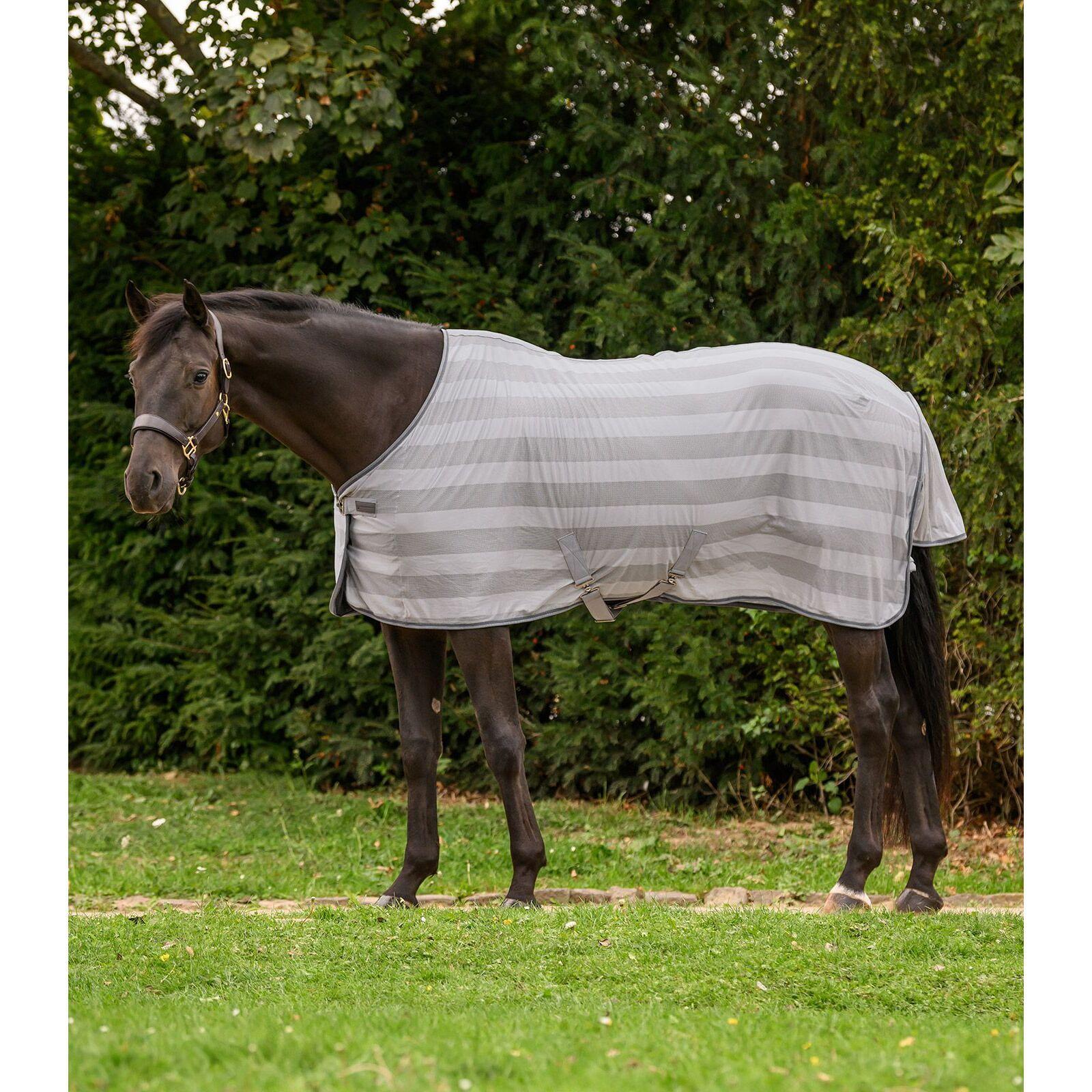 Couverture anti-mouches pour cheval Waldhausen Economic 2/2